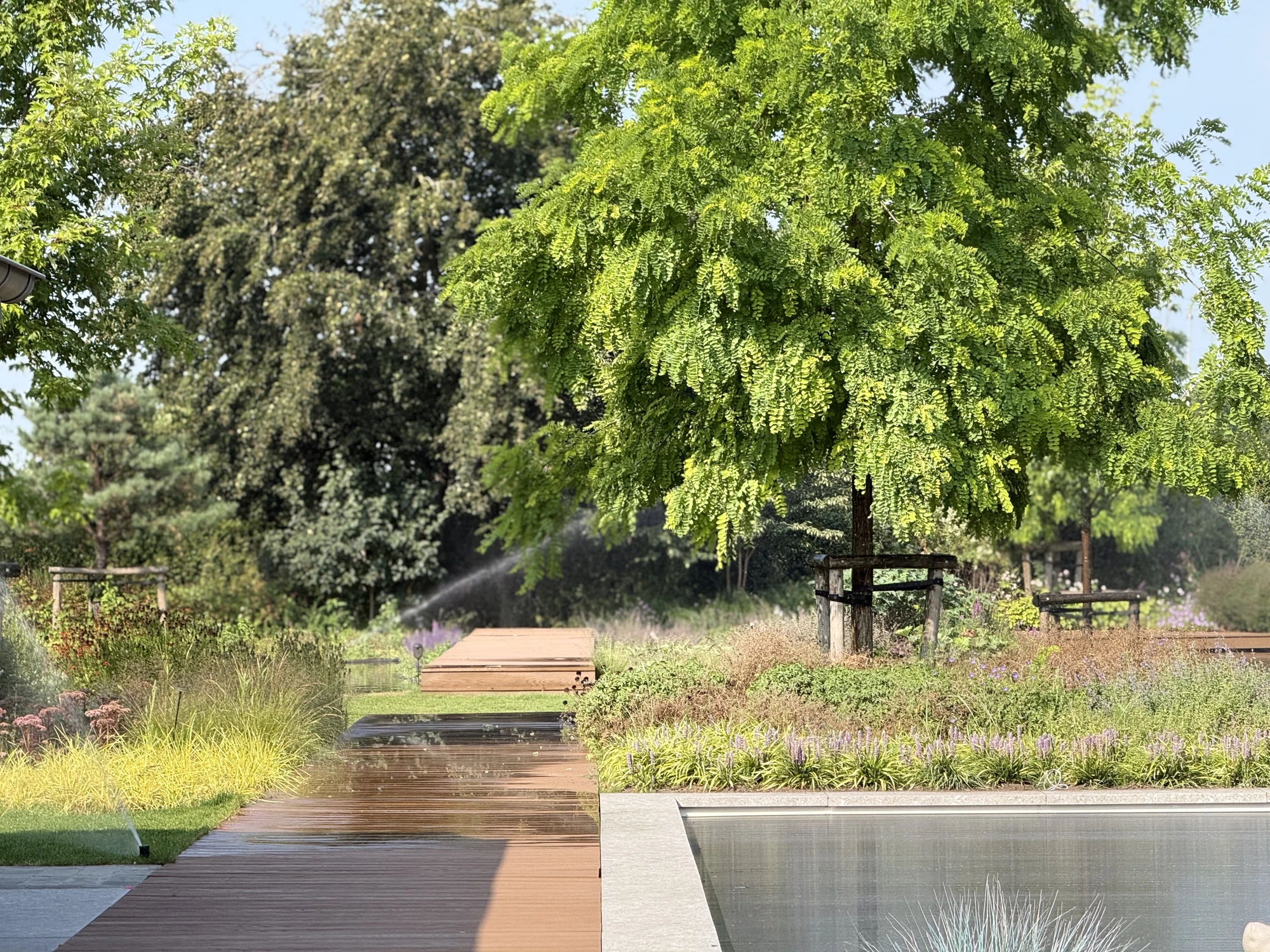 Vlonderpad tussen het water en groene beplanting