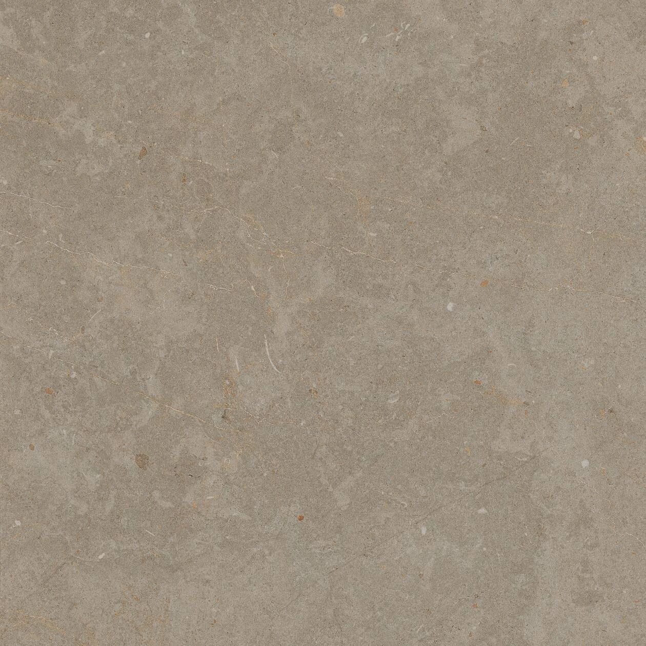Limerock Taupe 60x60x2 cm