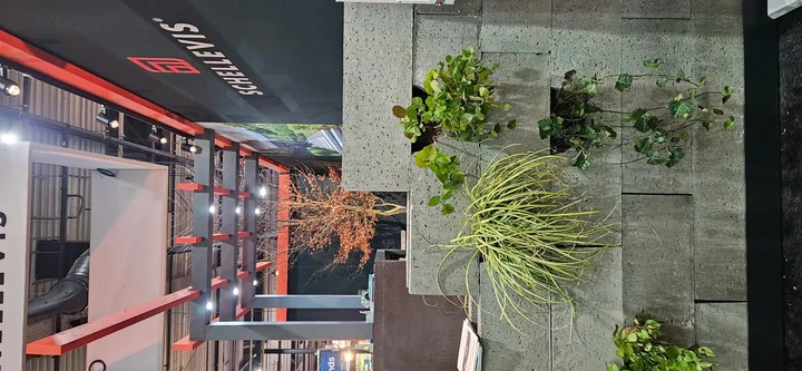Schellevis Oudhollands Groenwand beplanting 20x20x100cm Grijs