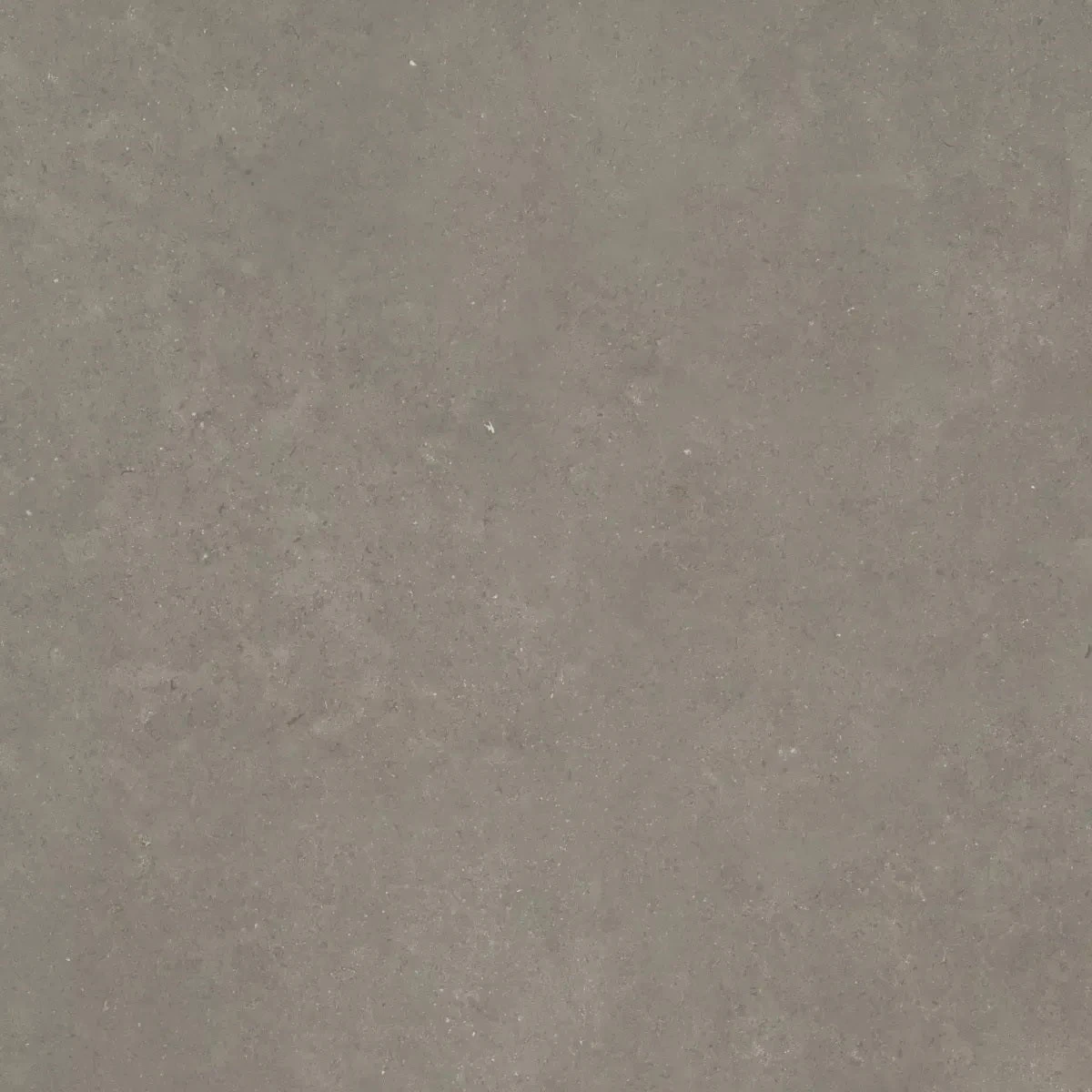 Ceradin Cortona 60x60x2cm Musk