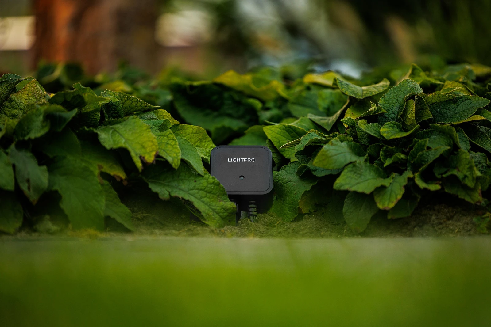 Light Pro Switch Smart 12V (Wi-Fi) Lightpro smart verlichting