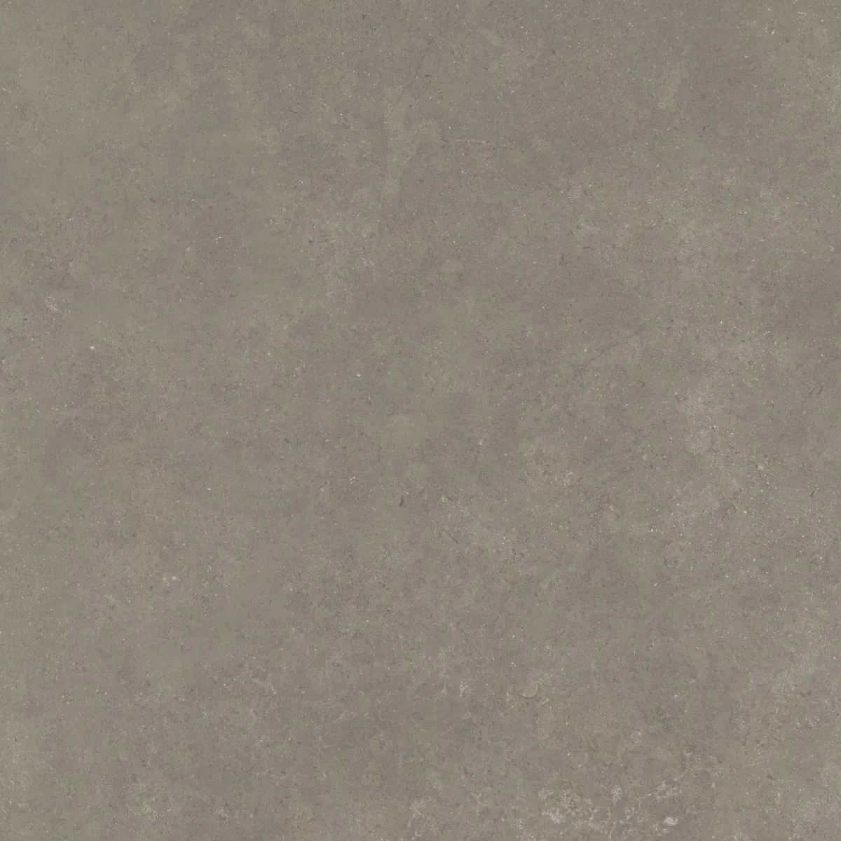 CeraSolid Cortona 60x60x3cm Musk