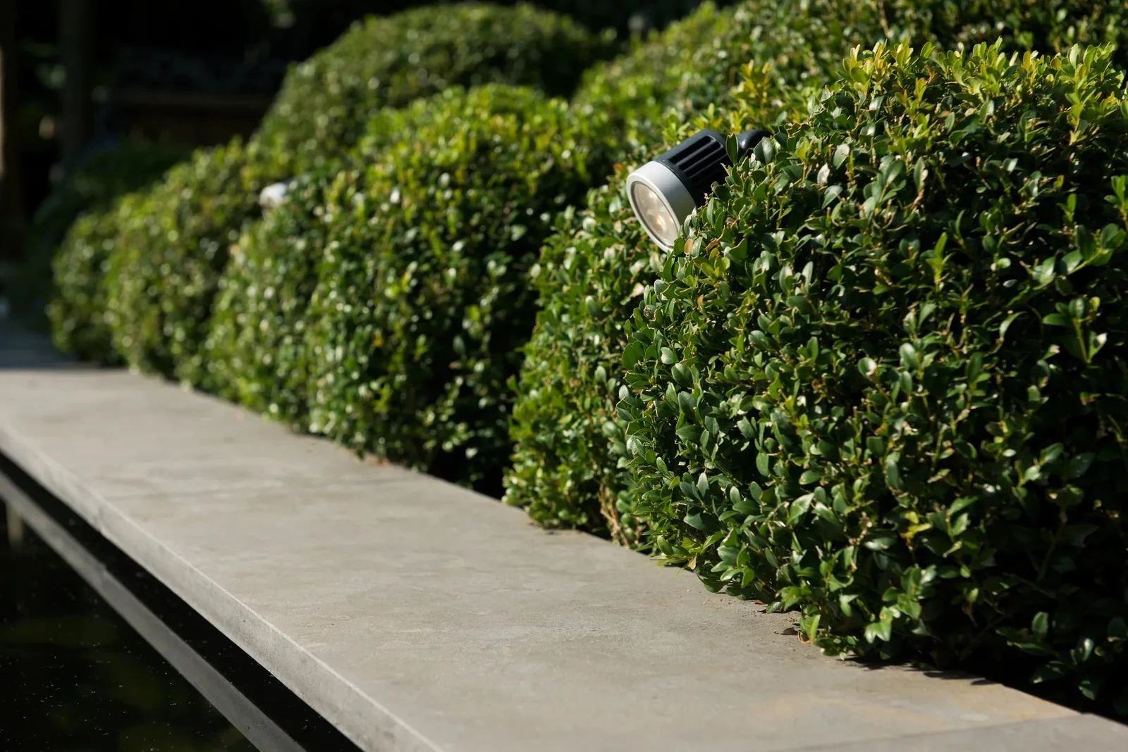 Bluestone Vijverrand 100x30x3 Primo 100x30x3cm Antraciet