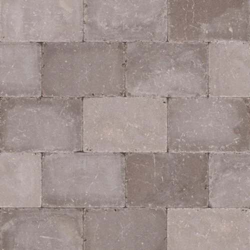 Abbeystones Casamari 30x20, 30x20x6 cm Excluton klinker