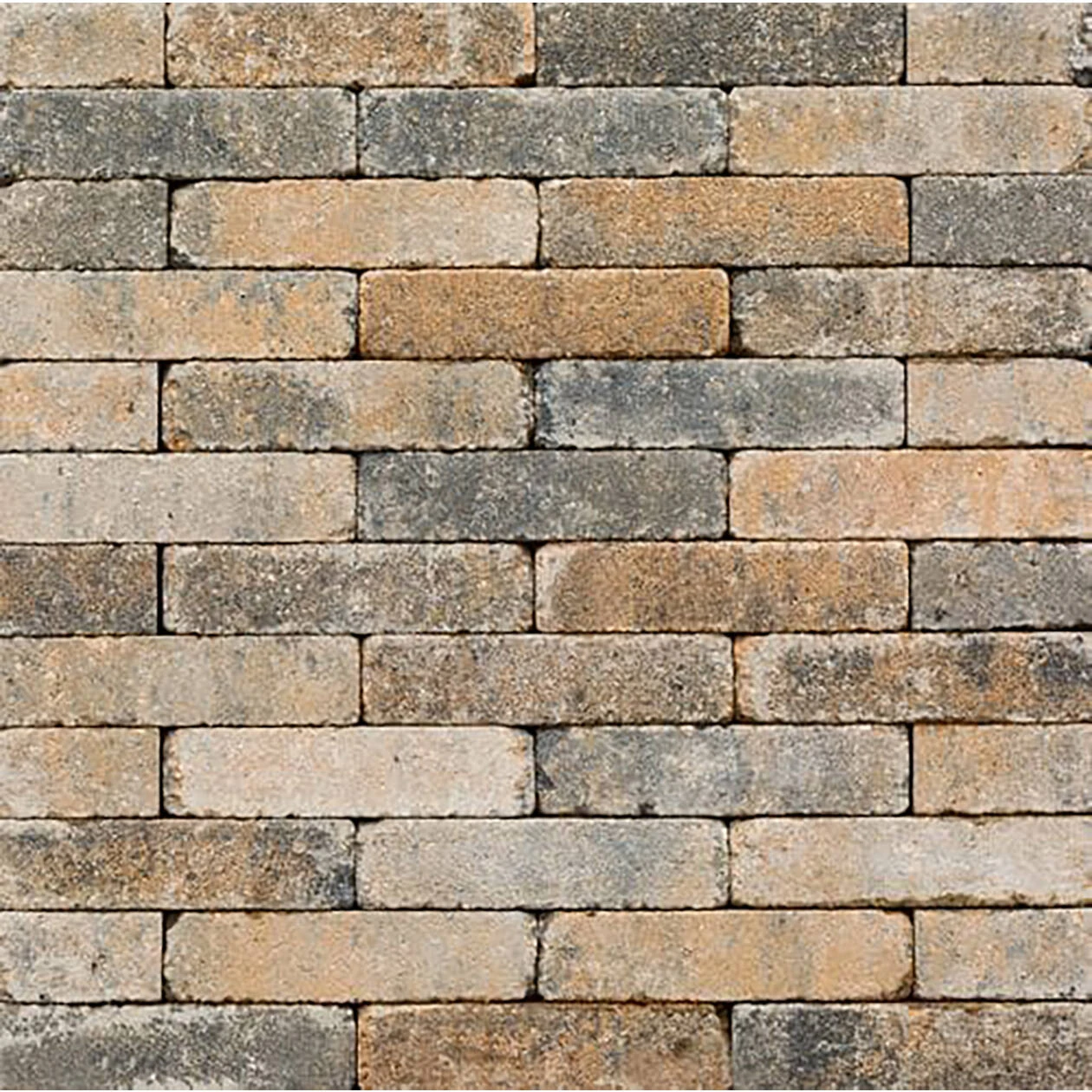 Musselkalk 20x5x7 cm
