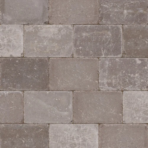 Abbeystones Certosa 30x20, 30x20x6 cm Excluton klinker