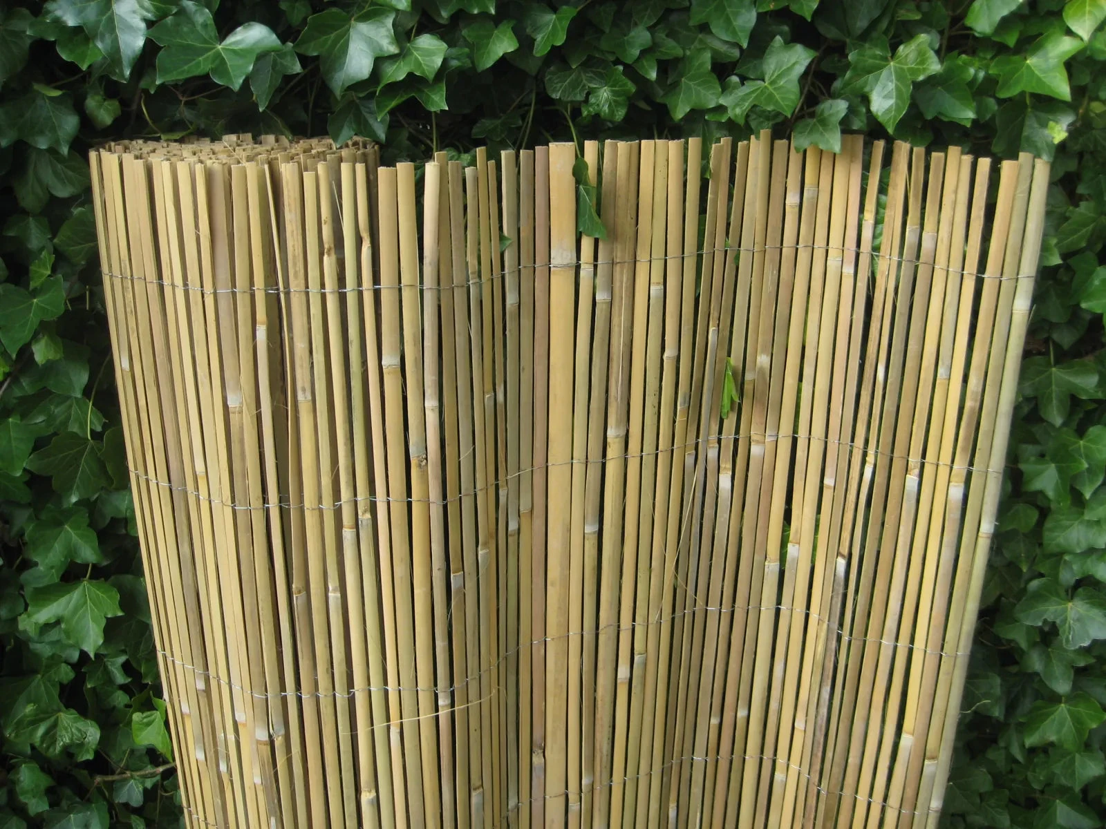 Bamboemat Coupe Gespleten H200xL500 500x200x1cm Blank