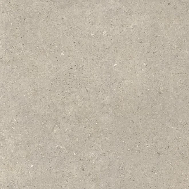 Cement Stone Greige 100x100x2 cm