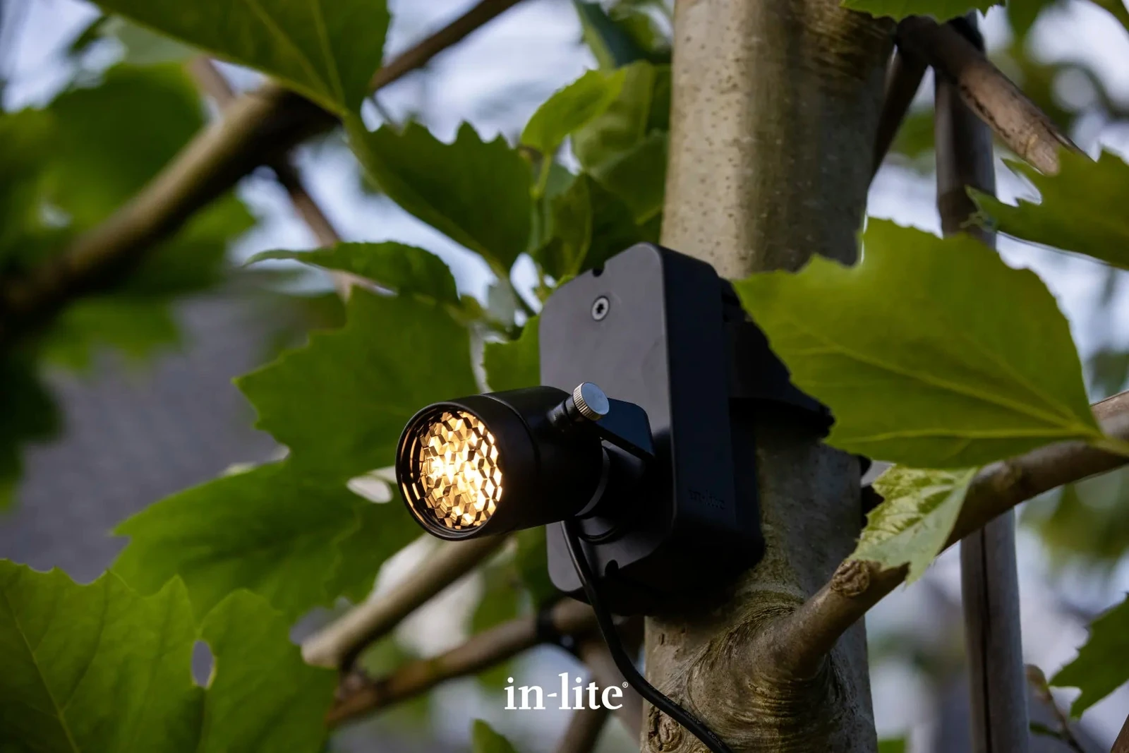 In-Lite BRACE BAND montageband voor Brace - 10 meter
