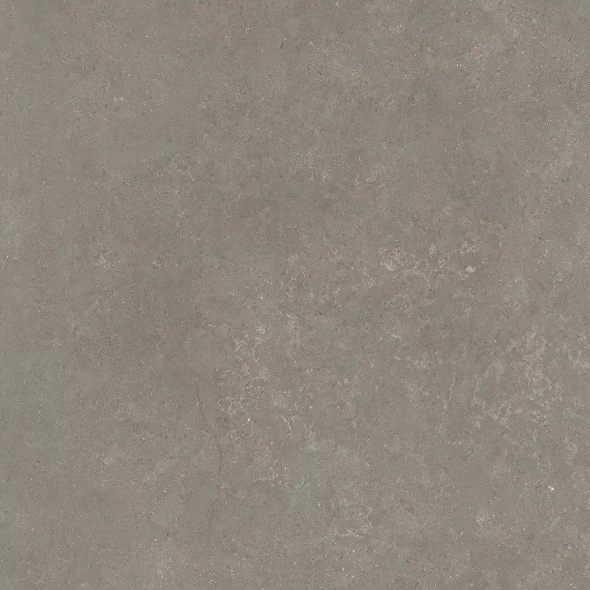 CeraSolid Cortona 60x60x3cm Musk