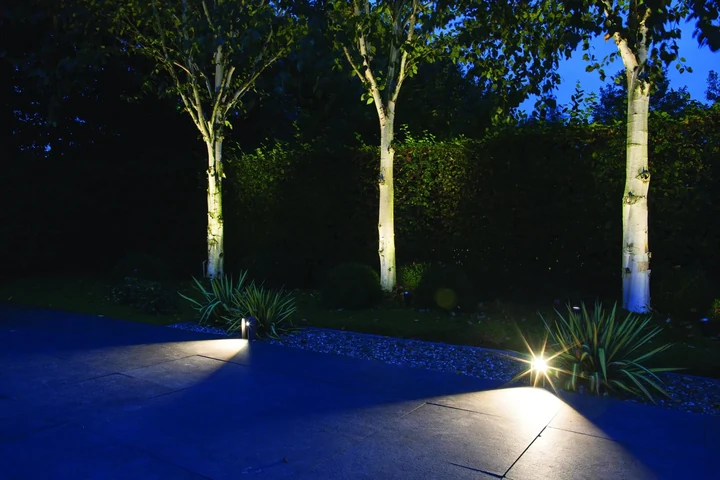 In-Lite Ace Solitary 12V - Rosé Silver