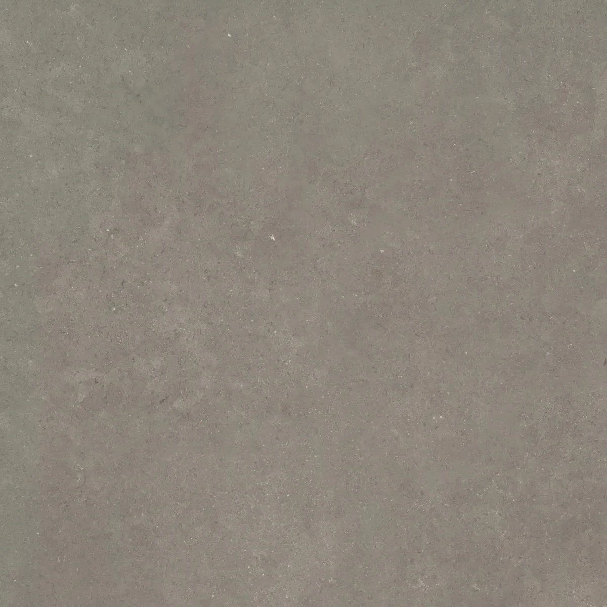 CeraSolid Cortona 60x60x3cm Musk Tuinvisie keramische tegel