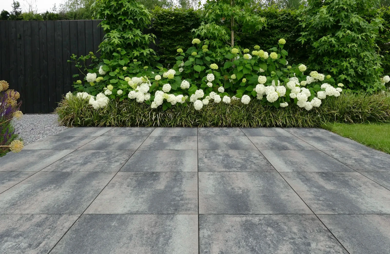 Nova Coral 60x60x4cm Antraciet, Grijs, Roze